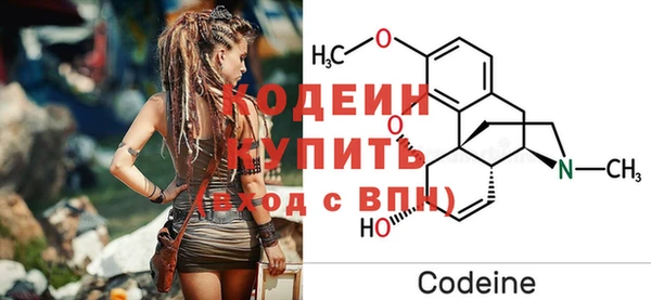 шишки Михайловск