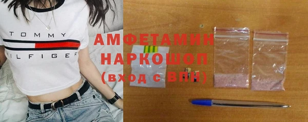 шишки Михайловск