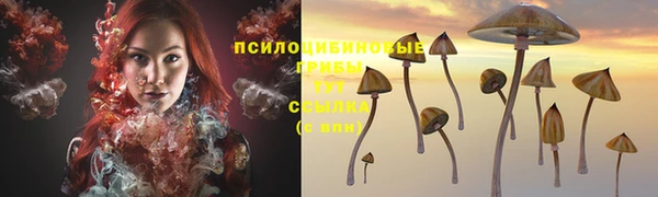 шишки Михайловск