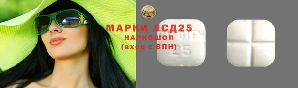шишки Михайловск