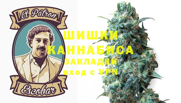 шишки Михайловск