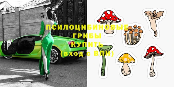 шишки Михайловск