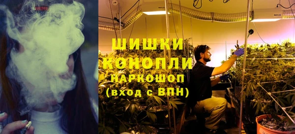 шишки Михайловск