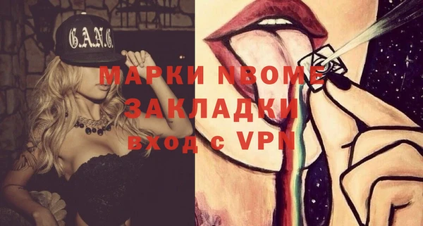 шишки Михайловск