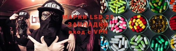 шишки Михайловск