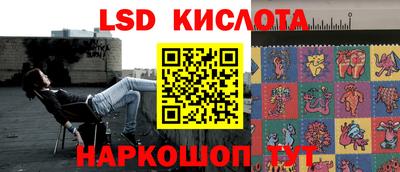 дживик Берёзовский