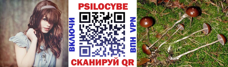 Галлюциногенные грибы мухоморы  купить наркоту  Чебоксары 