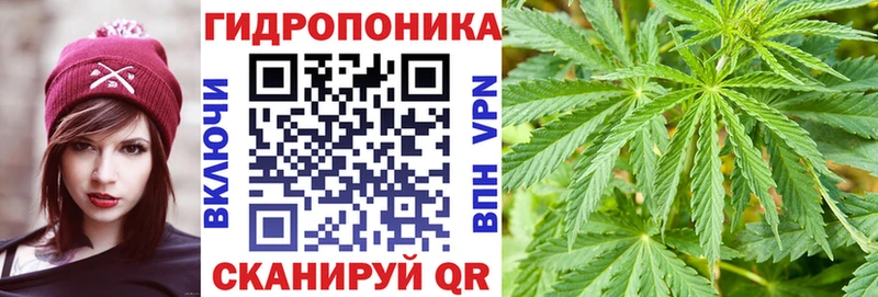 сколько стоит  Чебоксары  Канабис MAZAR 