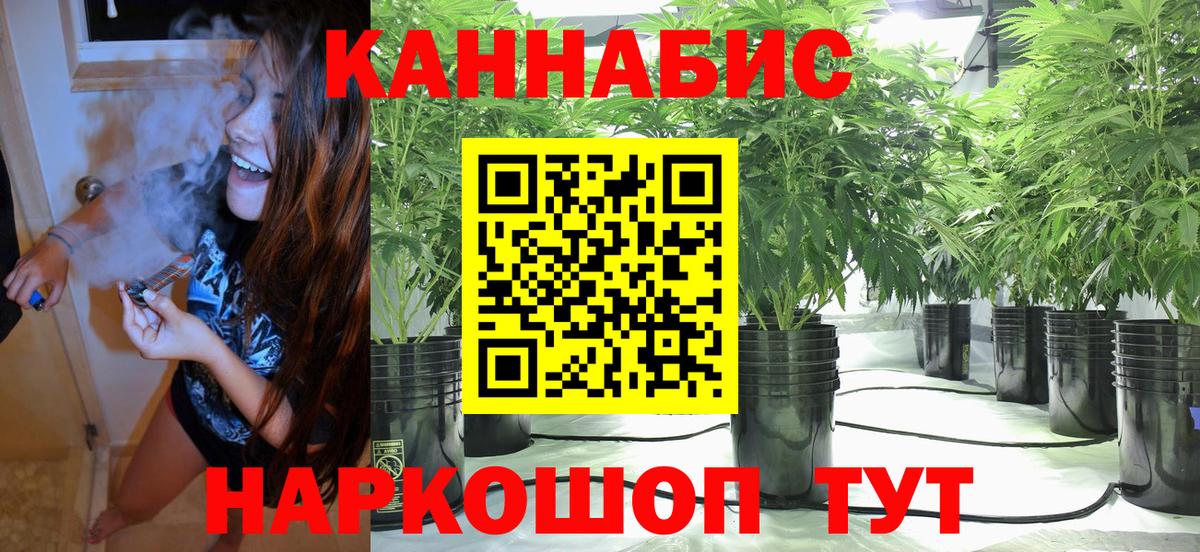 Конопля план  Каннабис Amnesia  Чебоксары  Бошки марихуана Bruce Banner  Канабис гибрид 
